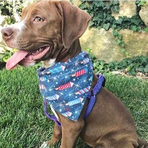 Pet bandana